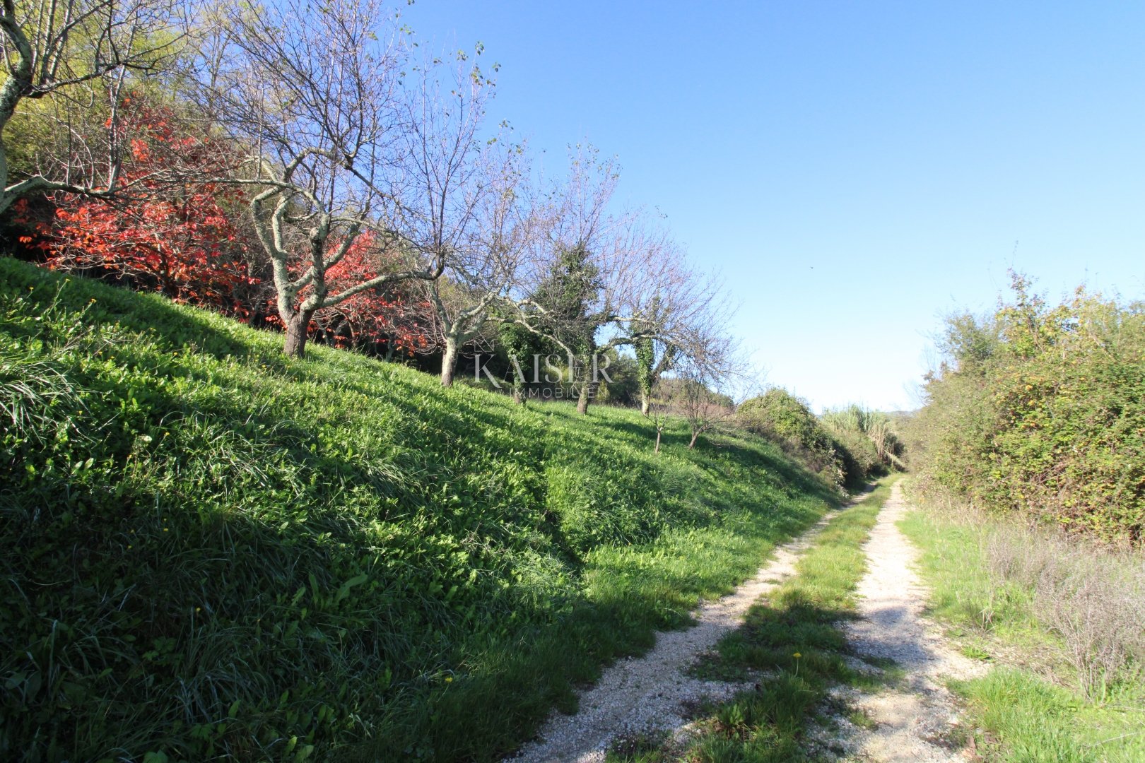 Land For sale - Istarska Motovun