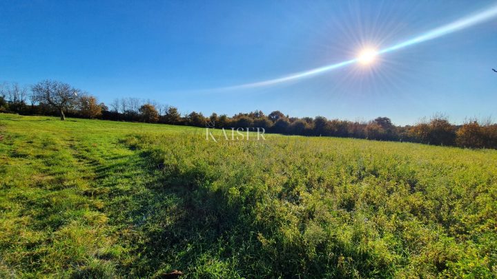 Grundstück zu verkaufen 13000 m² – Sveti Lovreč