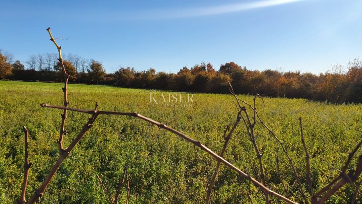 Grundstück Zu verkaufen - Istarska Sveti Lovreč - foto 3/14