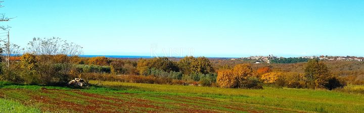 Grundstück zu verkaufen 1709 m² – Sveti Lovreč