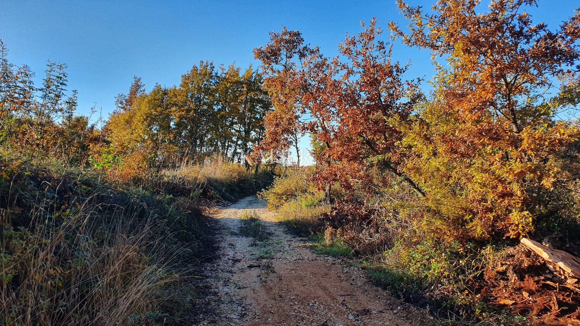 Grundstück Zu verkaufen - Istarska Sveti Lovreč