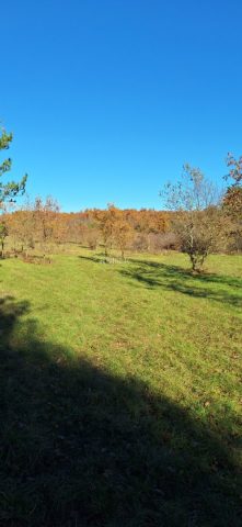 Grundstück Zu verkaufen - Istarska Višnjan - foto 2/8