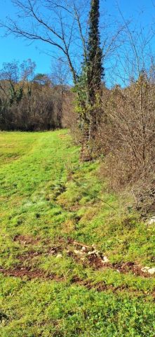 Grundstück Zu verkaufen - Istarska Višnjan - foto 3/8