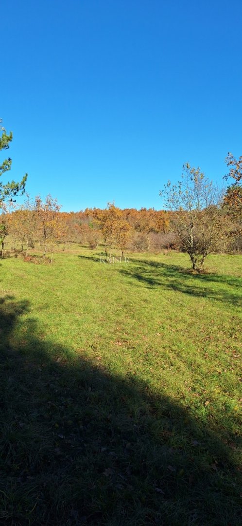 Grundstück Zu verkaufen - Istarska Višnjan