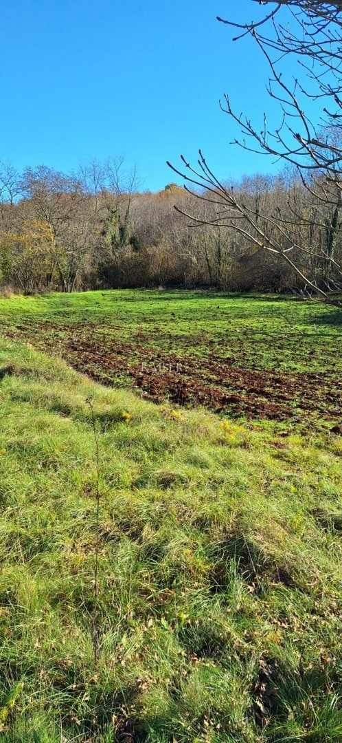 Grundstück Zu verkaufen - Istarska Višnjan