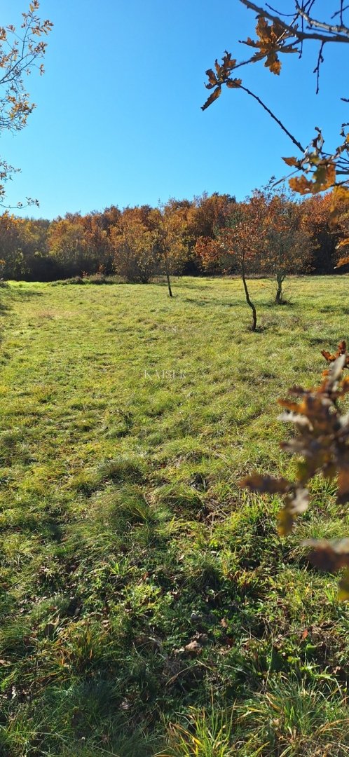Działka Na sprzedaż - Istarska Višnjan