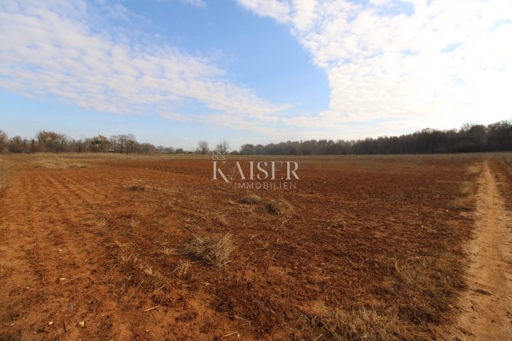 Grundstück zu verkaufen 7326 m² – Poreč