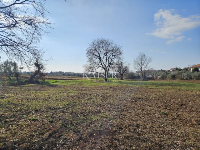 Grundstück zu verkaufen 649 m² – Novigrad