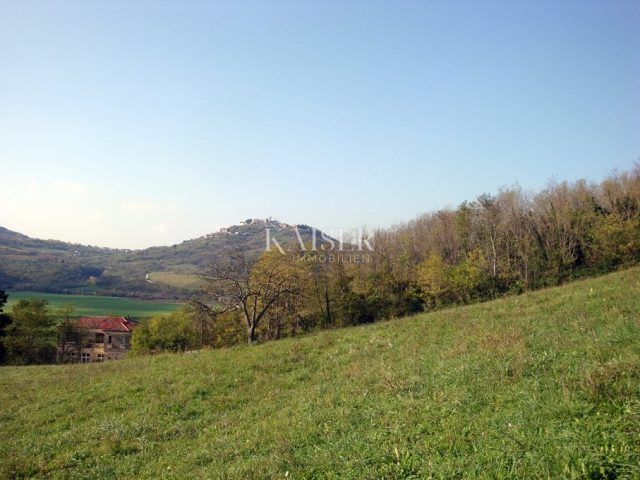 Grundstück zu verkaufen 6483 m² – Motovun