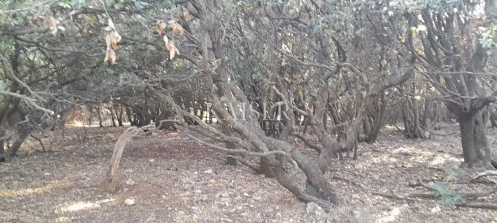 Terrain À vendre - Primorsko-goranska Mali Lošinj - foto 2/2