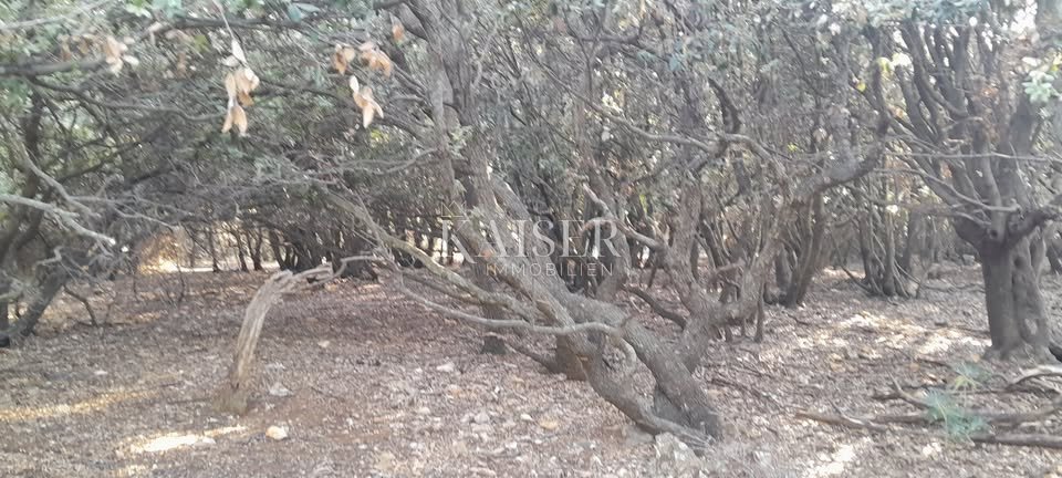 Terrain À vendre - Primorsko-goranska Mali Lošinj