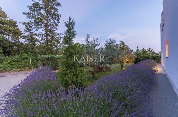 Haus Zu verkaufen - Istarska žminj - foto 4/31