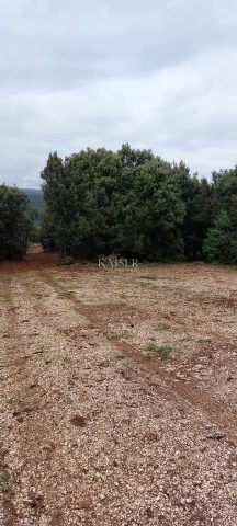 Zemljište na prodaju 12229 m² – Stivan