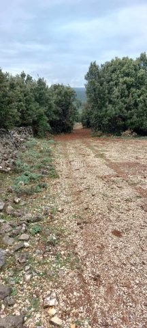 Zemljište Na prodaju - Primorsko-goranska Cres - foto 2/2