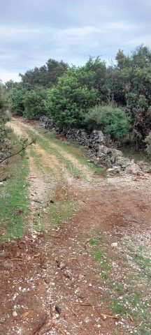 Parcela Naprodaj - Primorsko-goranska Cres - foto 3/3