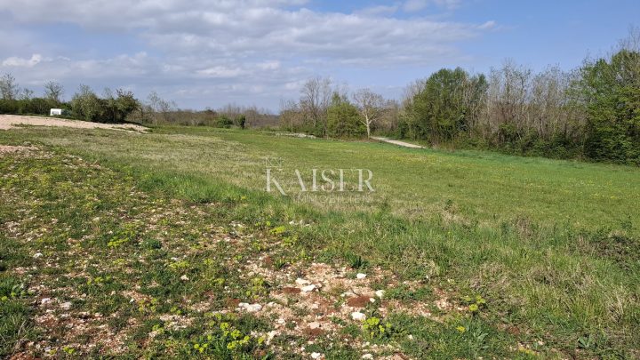Zemljište na prodaju 8139 m² – Pazin