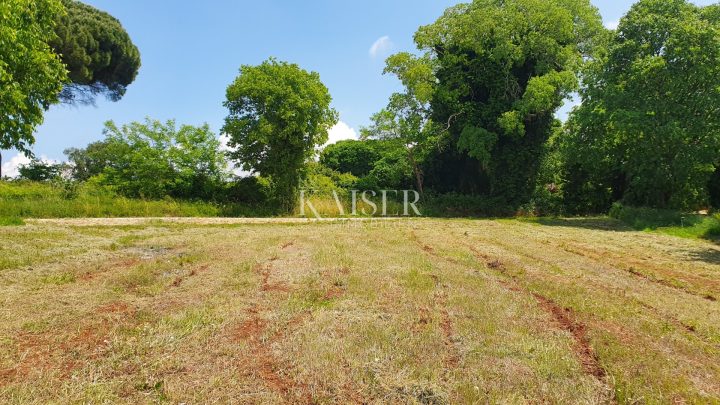 Grundstück zu verkaufen 1550 m² – Kaštelir