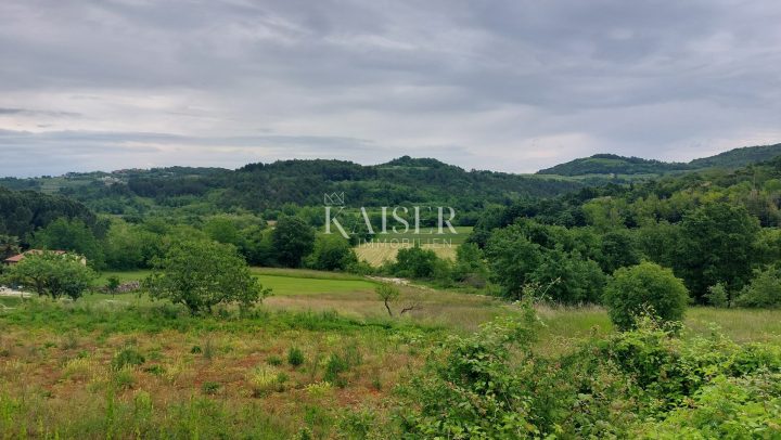 Grundstück zu verkaufen 1948 m² – Motovun
