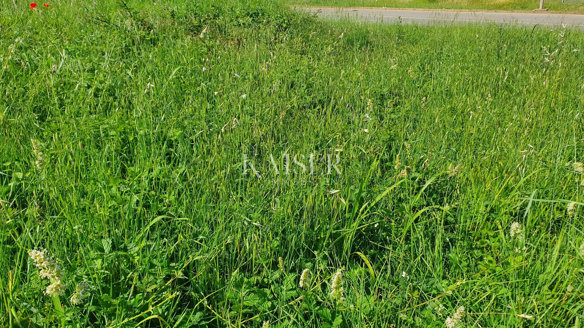 Grundstück Zu verkaufen - Istarska Poreč