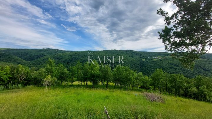 Grundstück Zu verkaufen - Istarska Motovun - foto 2/2