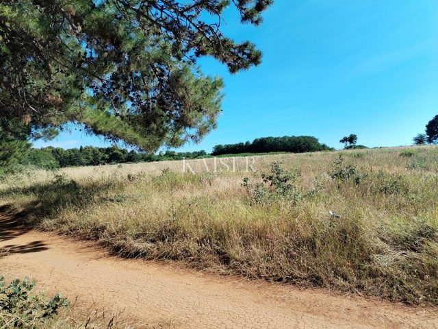Grundstück Zu verkaufen - Istarska Umag - foto 3/4