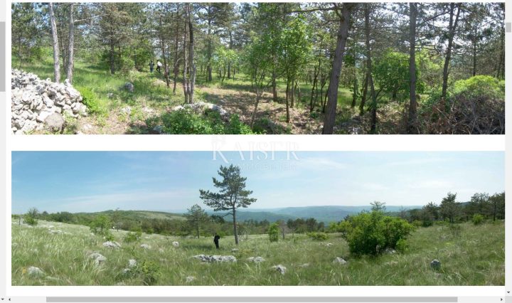 Grundstück zu verkaufen 30000 m² – Motovun