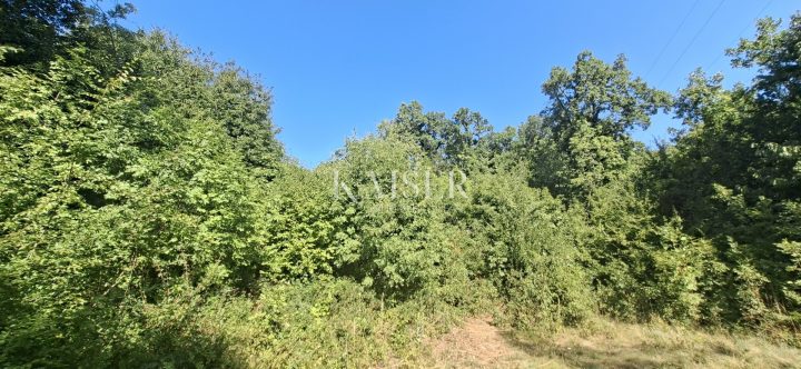Pozemok na predaj 2835 m² – Matulji