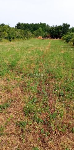 Parcela Naprodaj - Istarska Tinjan - foto 4/4