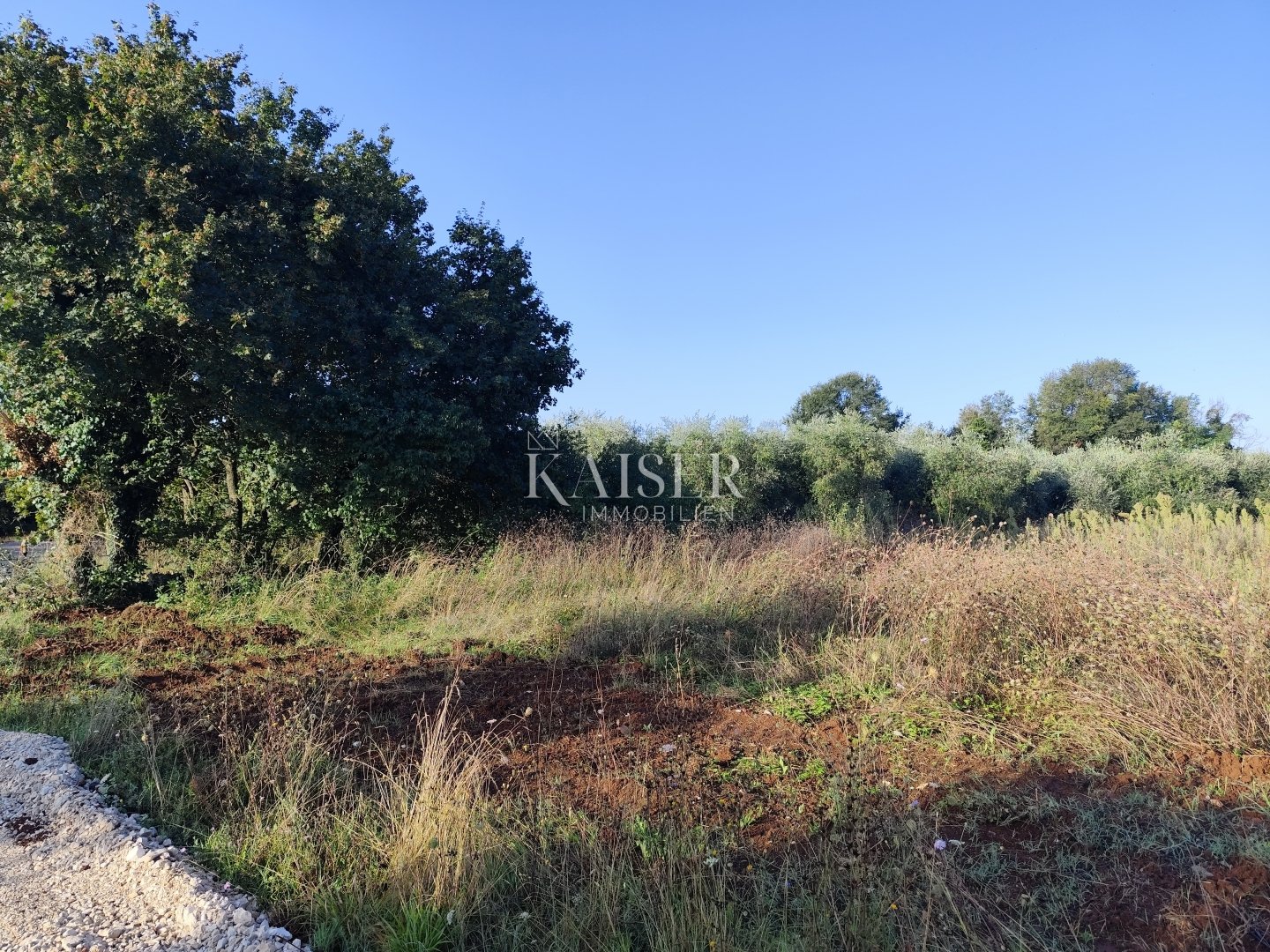 Parcela Naprodaj - Istarska Tar-Vabriga