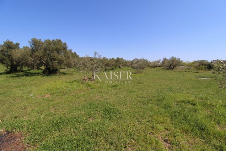 Zemljište na prodaju 2500 m² – Turanj