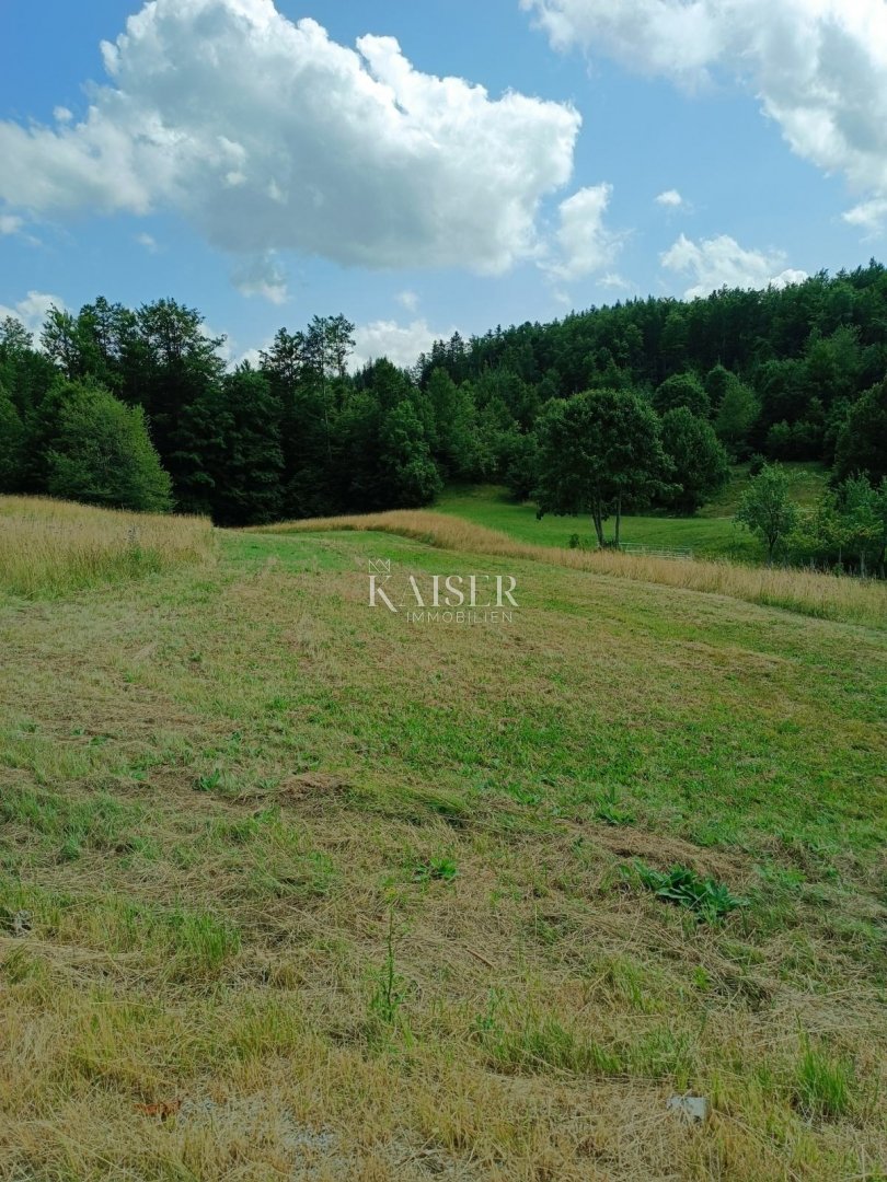 Działka Na sprzedaż - Primorsko-goranska Ravna Gora - foto 1/6