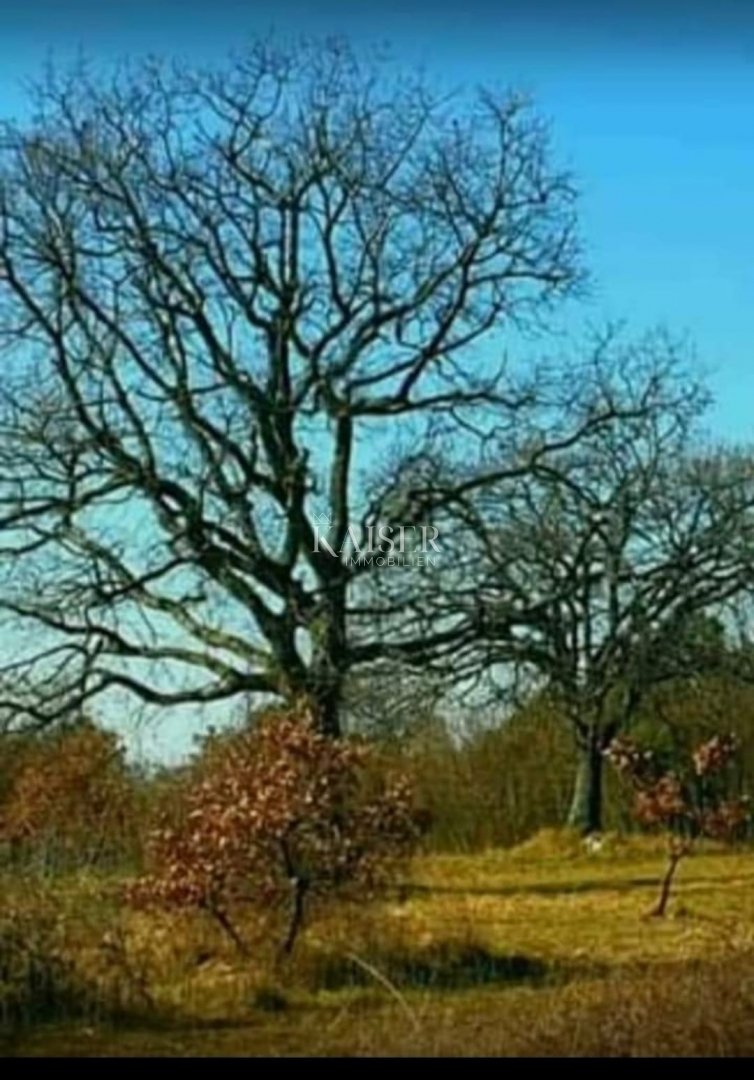 Parcela Naprodaj - Istarska Marčana