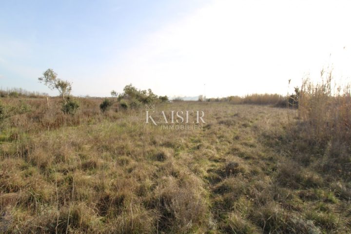 Terreno In vendita - Privlaka - foto 3/17