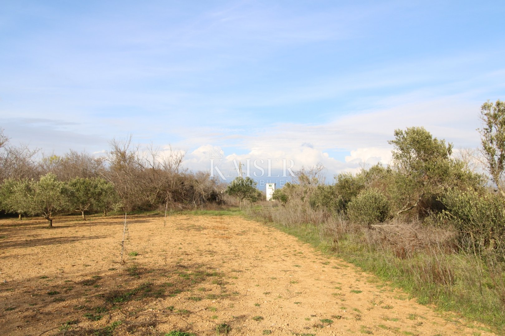 Terreno In vendita -  Privlaka
