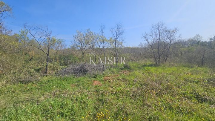 Grundstück zu verkaufen 17446 m² – Petrovija