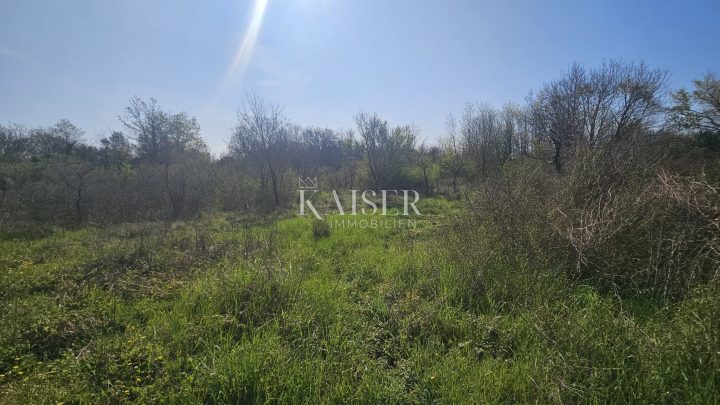Grundstück Zu verkaufen - Istarska Umag - foto 3/3