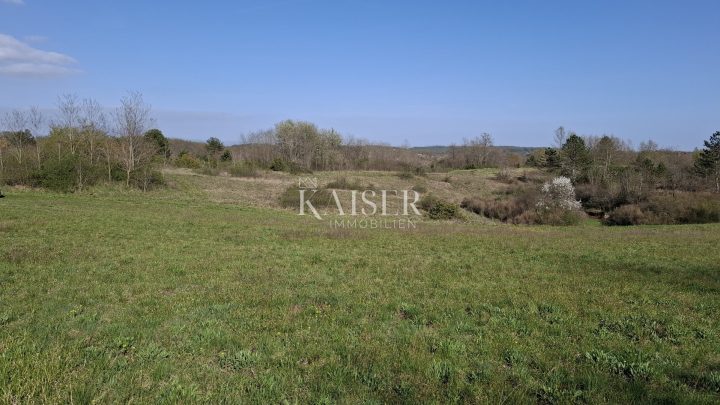 Grundstück zu verkaufen 72560 m² – Pazin