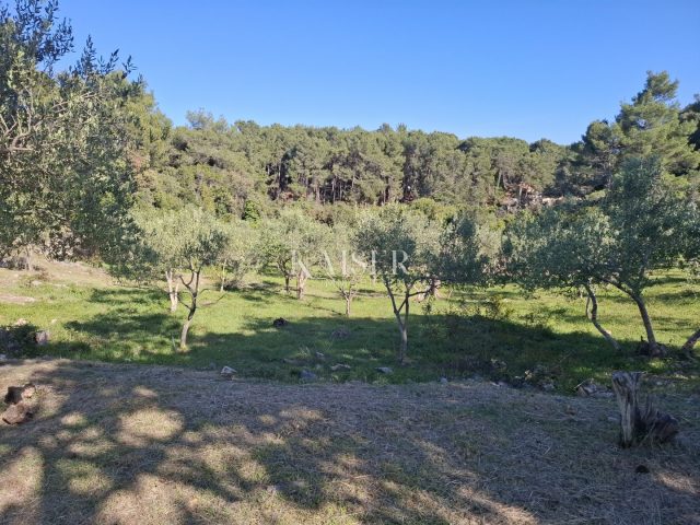 Casa In vendita - Primorsko-goranska Mali Lošinj - foto 5/9