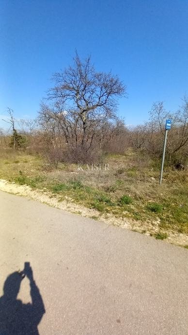 Parcela Naprodaj - Zadarska Poličnik