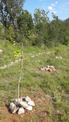 Zemljište na prodaju 2541 m² – Seline