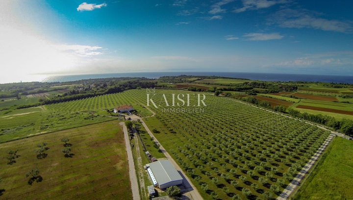 Grundstück zu verkaufen 118000 m² – Umag