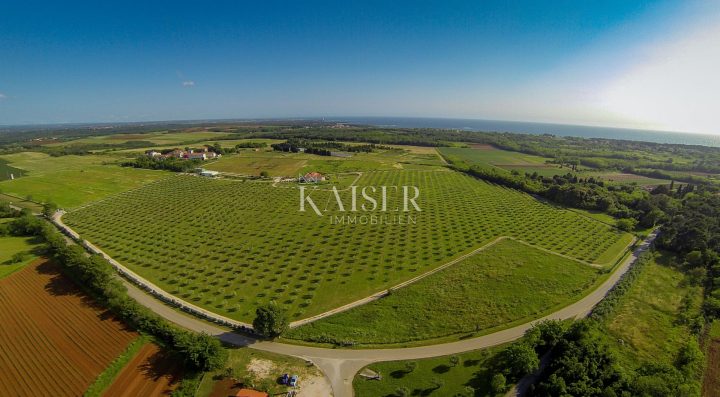 Land For sale - Istarska Umag - foto 2/34