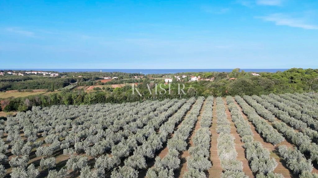 Land For sale - Istarska Umag