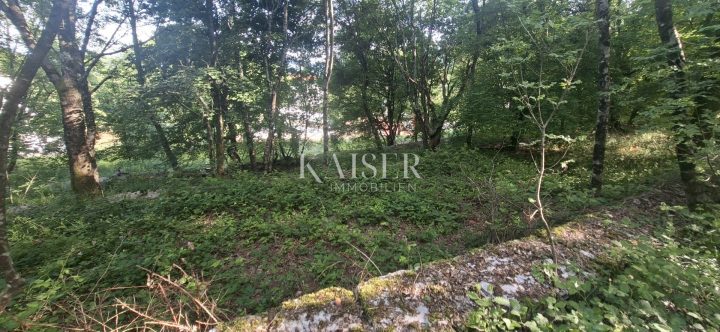 Land For sale - Primorsko-goranska Matulji - foto 4/6
