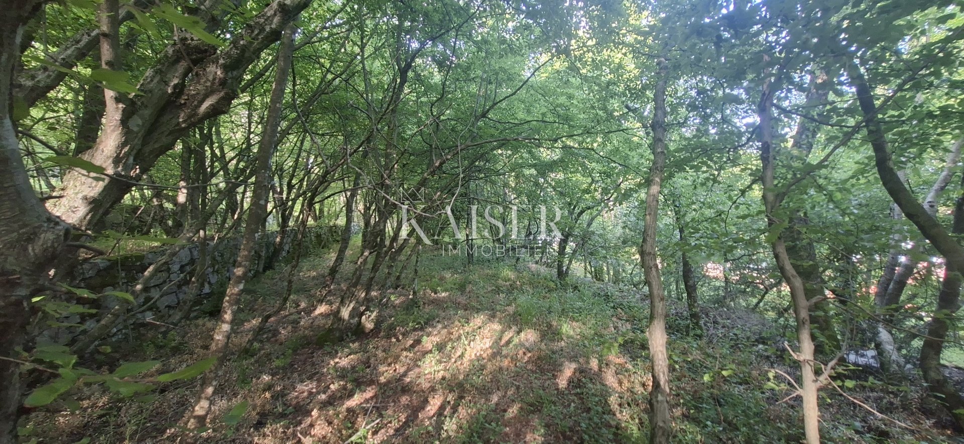 Land For sale - Primorsko-goranska Matulji