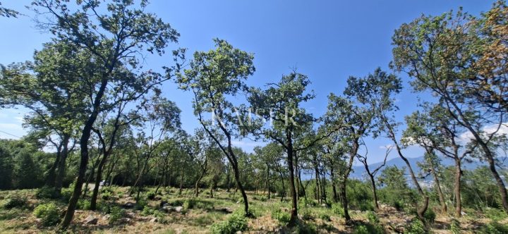 Zemljište na prodaju 1069 m² – Costabella