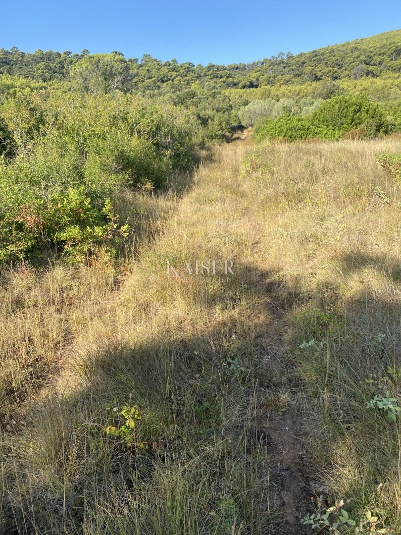 Kuća Na prodaju - Zadarska Sali