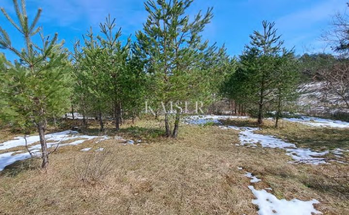 Land For sale - Karlovačka Plaški - foto 4/9