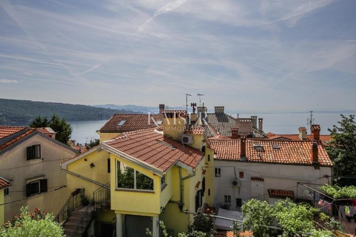 House For sale - Primorsko-goranska Opatija - foto 5/19