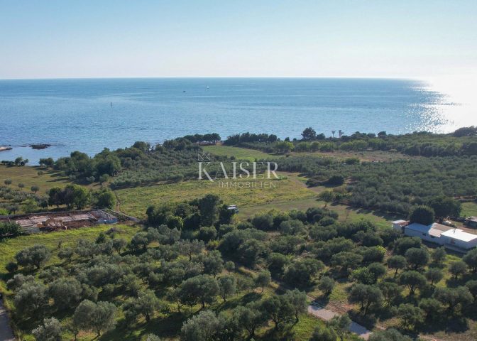 Maison À vendre - Istarska Umag - foto 3/6